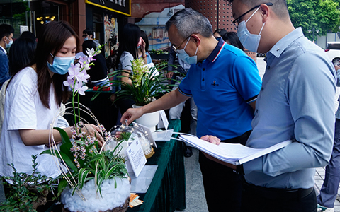 麗芳園林園藝康養(yǎng)盆栽競(jìng)賽圓滿(mǎn)舉辦，現(xiàn)場(chǎng)精彩繽紛~