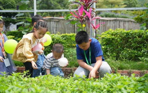 活動(dòng)預(yù)告 | 這個(gè)夏天，多場(chǎng)自然教育活動(dòng)將在麗芳園林園藝康養(yǎng)科普基地精彩上演